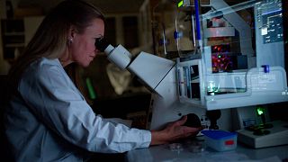 Sophia Schedin Weiss kutató és docens neuronokat vizsgál mikroszkópban. Fotók az Alzheimer-kutatásról a Huddinge Neurobiológiai, Gondozástudományi és Társadalmi Tanszéken 2015