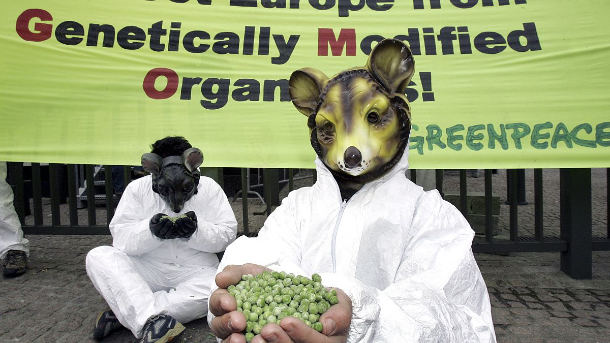 Un militant de Greenpeace porte un masque de souris devant une banderole contre les aliments génétiquement modifiés, devant le bâtiment du Conseil européen à Bruxelles. 2005