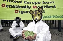 Ein Greenpeace-Aktivist trägt eine Mäusemaske vor einem Transparent gegen gentechnisch veränderte Lebensmittel vor dem Gebäude des Europäischen Rates in Brüssel. 2005