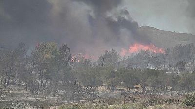 Imagen de las llamas que devastan una zona boscosa en un incendio forestal.