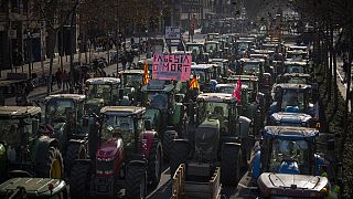 Çiftçiler, 7 Şubat 2024 Çarşamba günü İspanya'nın Barselona kentinde düzenlenen bir protesto sırasında traktörlerini sürdü