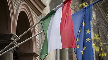 Illusztráció: magyar és EU-s zászlók