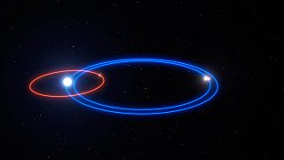 مدار الكوكب الغازي العملاق في نظام HD 131399 (الخط الأحمر) ومدارات النجوم الثلاثة (الخطوط الزرقاء لجامعة أريزونا، الولايات المتحدة. 