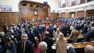 EU-Parlament fordert internationale Untersuchung der Wahlen in Serbien