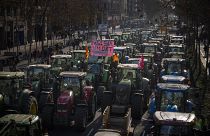Protesta de agricultores en Barcelona el miércoles 7 de febrero de 2024