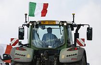 Olasz tüntető