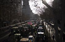 Тракторные протесты в Барселоне, 7 февраля 2024 года.