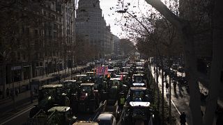 Тракторные протесты в Барселоне, 7 февраля 2024 года.