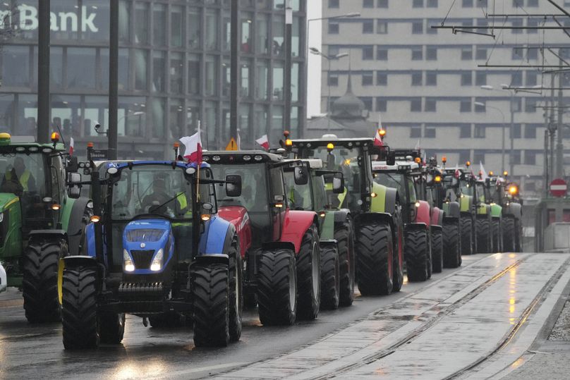 Des centaines d'agriculteurs ont défilé à Poznan ce vendredi.