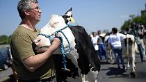 Gli agricoltori polacchi e ungheresi protestano contro la proroga Ue delle agevolazioni sull'import da Kiev