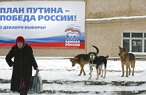 cani in Russia
