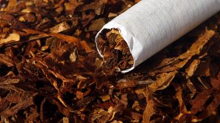 Panama: WHO conference on tobacco ends with emphasis on protection of the environment 