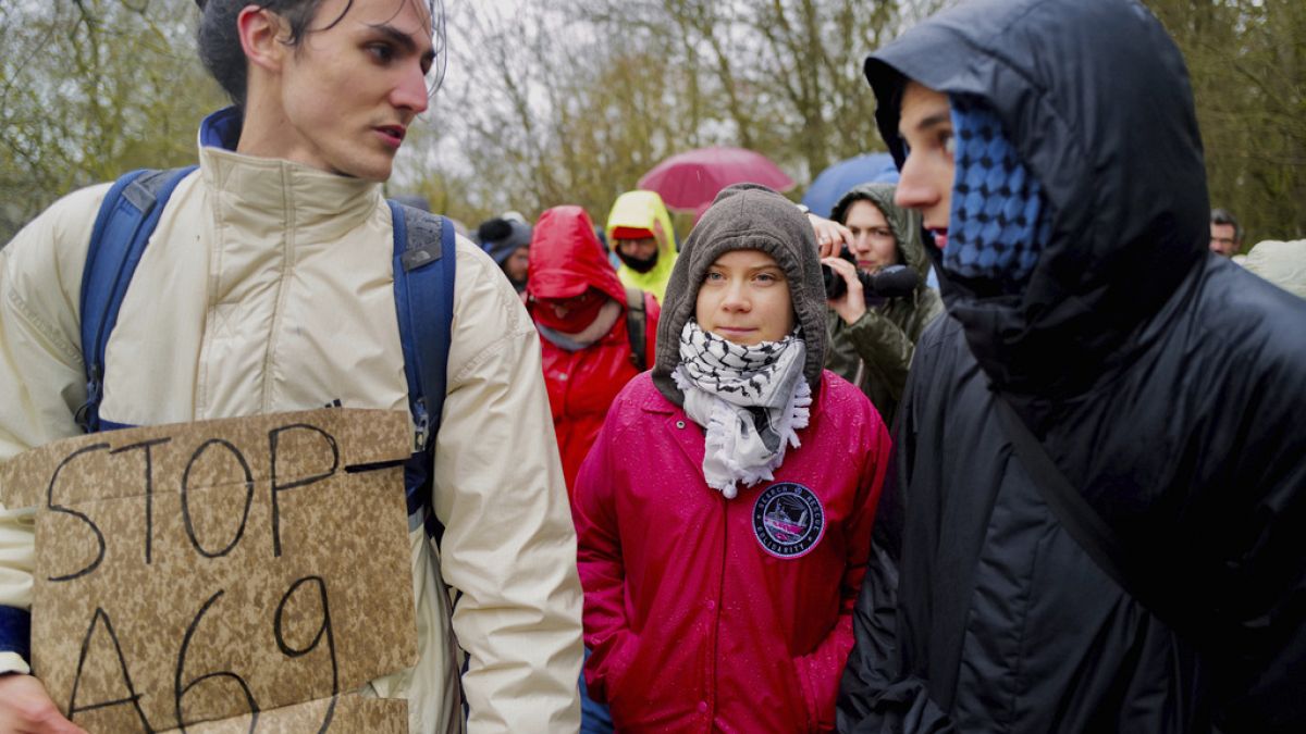 Greta Thunberg en una protsesta en Toulouse