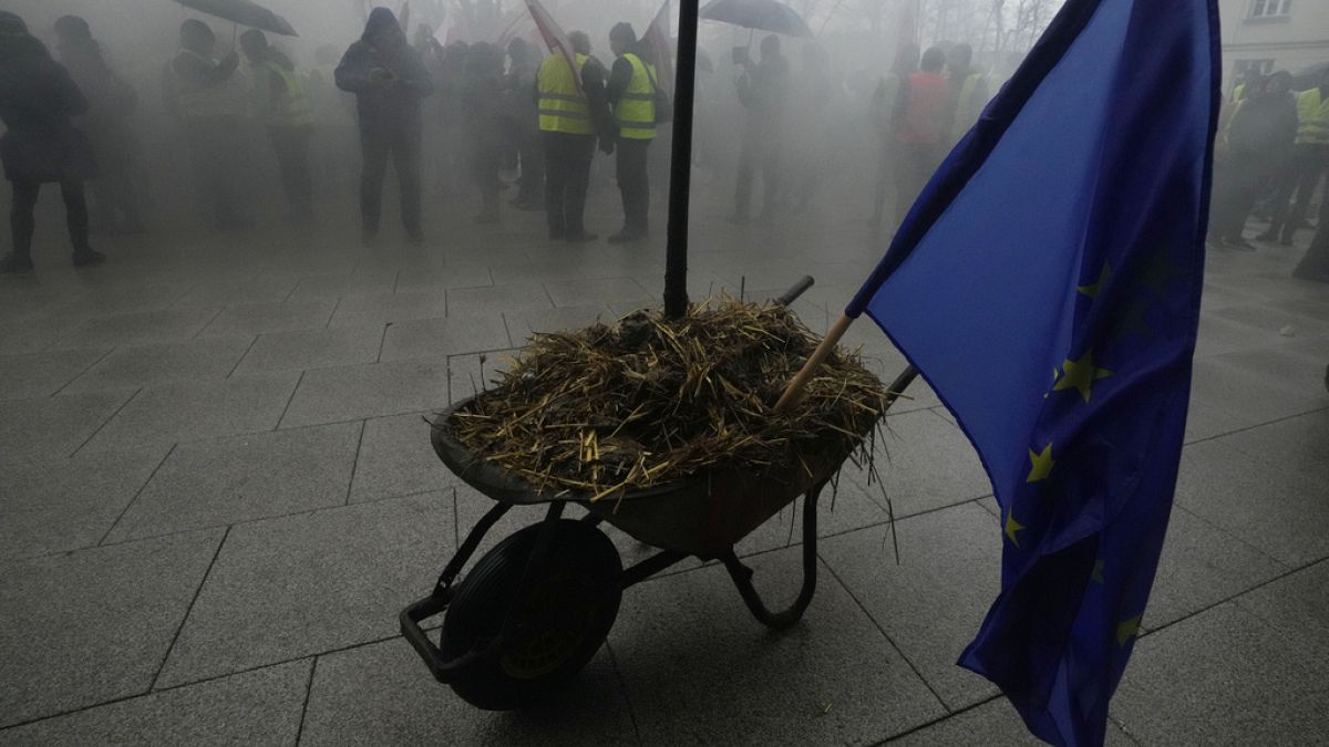 Polish farmers block roads nationwide in mass EU policy protests thumbnail