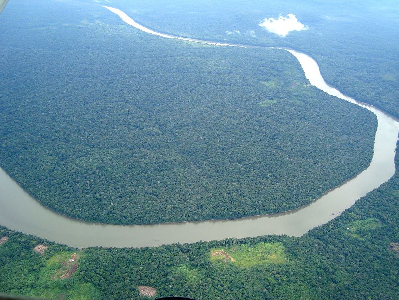 جنگل آمازون در برزیل
