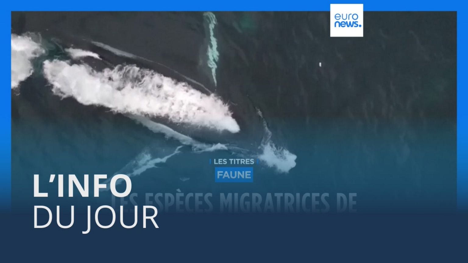 L’info du jour | 12 février - Soir