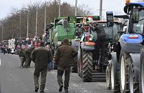 Agricoltori protestano contro il piano europeo che prolunga l'importazione dei prodotti agricoli ucraini, nei pressi del confine con l'Ucraina a Zahony (9 febbraio 2024)