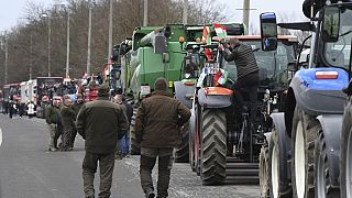 Protestos dos agricultores