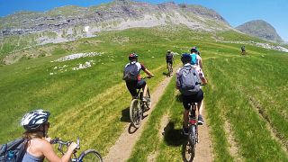 Cycling holidays offer adventure for older kids.