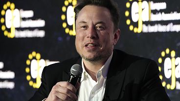 Tesla and SpaceX's CEO Elon Musk