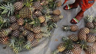 Kenya : les déchets d'ananas transformés en produits textiles