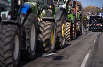 Protestas agrícolas en España