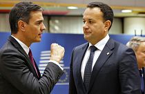 Der spanische Ministerpräsident Pedro Sánchez (links) und der irische Ministerpräsident Leo Varadkar (rechts) haben ein gemeinsames Schreiben unterzeichnet, in dem sie eine "dringende Überprüfung" des Assoziierungsabkommens zwischen der EU und Israel fordern.