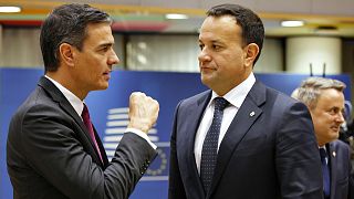 L'Espagnol Pedro Sánchez (à gauche) et l'Irlandais Leo Varadkar (à droite) ont signé une lettre commune demandant une "révision urgente" de l'accord d'association UE-Israël.