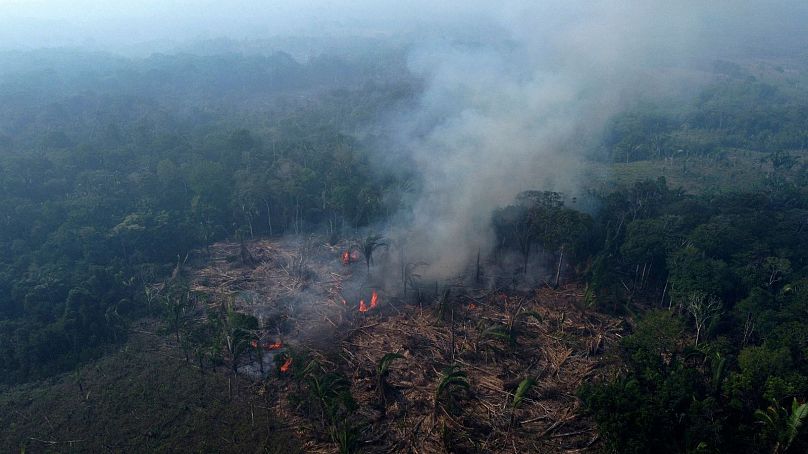 A forest burns in the Amazon in the municipality of Manaquiri in Brazil's Amazonas state, September 2023.