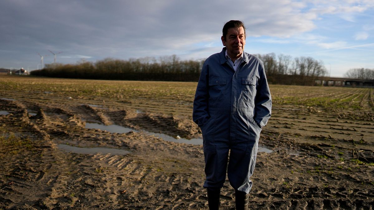 „При най-малката грешка има глоби“: разочарованието на фермерите в ЕС нараства с натрупването на документи
