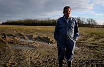Bart Dochy stands in front of one of the fields at his family farm in Ledegem, Belgium.