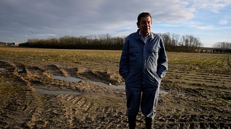 Bart Dochy stands in front of one of the fields at his family farm in Ledegem, Belgium.