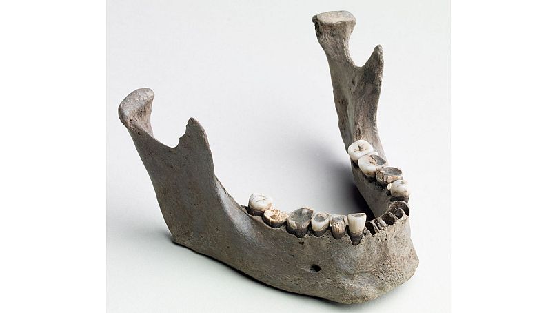 یافته‌های جدید از تجزیه و تحلیل مینای دندان اسکلت به دست آمده است