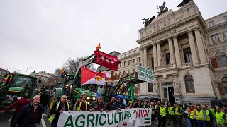 Акция протеста перед зданием министерства сельского хозяйства Испании, Мадрид, 15 февраля 2024 года.
