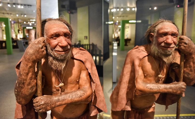 یک انسان نئاندرتالنسی که از حدود ۴۰۰ هزار تا ۴۰ هزار سال پیش در اوراسیا زندگی می کرد، موزه نئاندرتال در متمان، آلمان