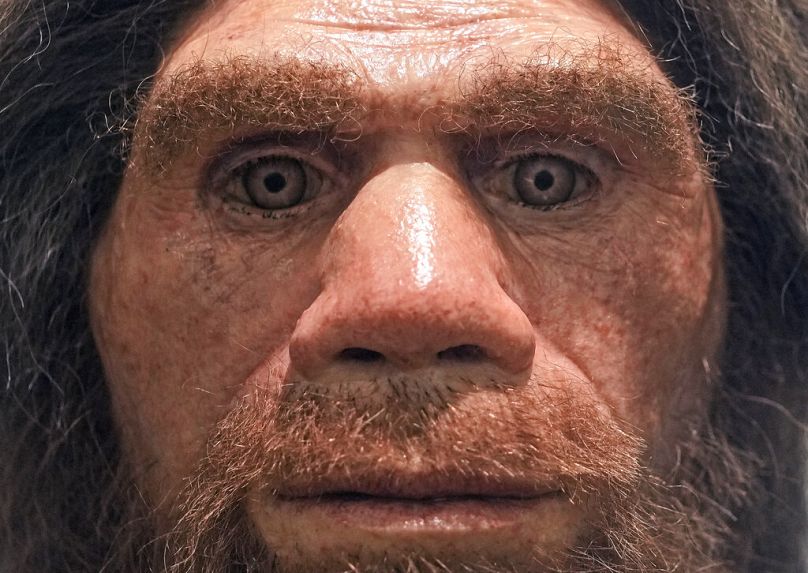 مرد نئاندرتال (Homo sapiens neanderthalensis) در موزه غار در ایزرلون، آلمان