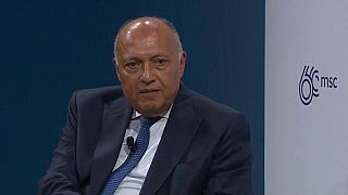 وزير الخارجية المصري من مؤتمر ميونخ للأمن
