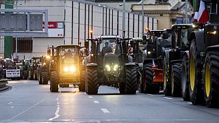 Des agriculteurs dans des tracteurs se tiennent dans une rue du centre de la capitale tchèque lors d'une manifestation