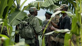 Rwanda rejects US calls for withdrawal of missiles, troops from eastern Congo