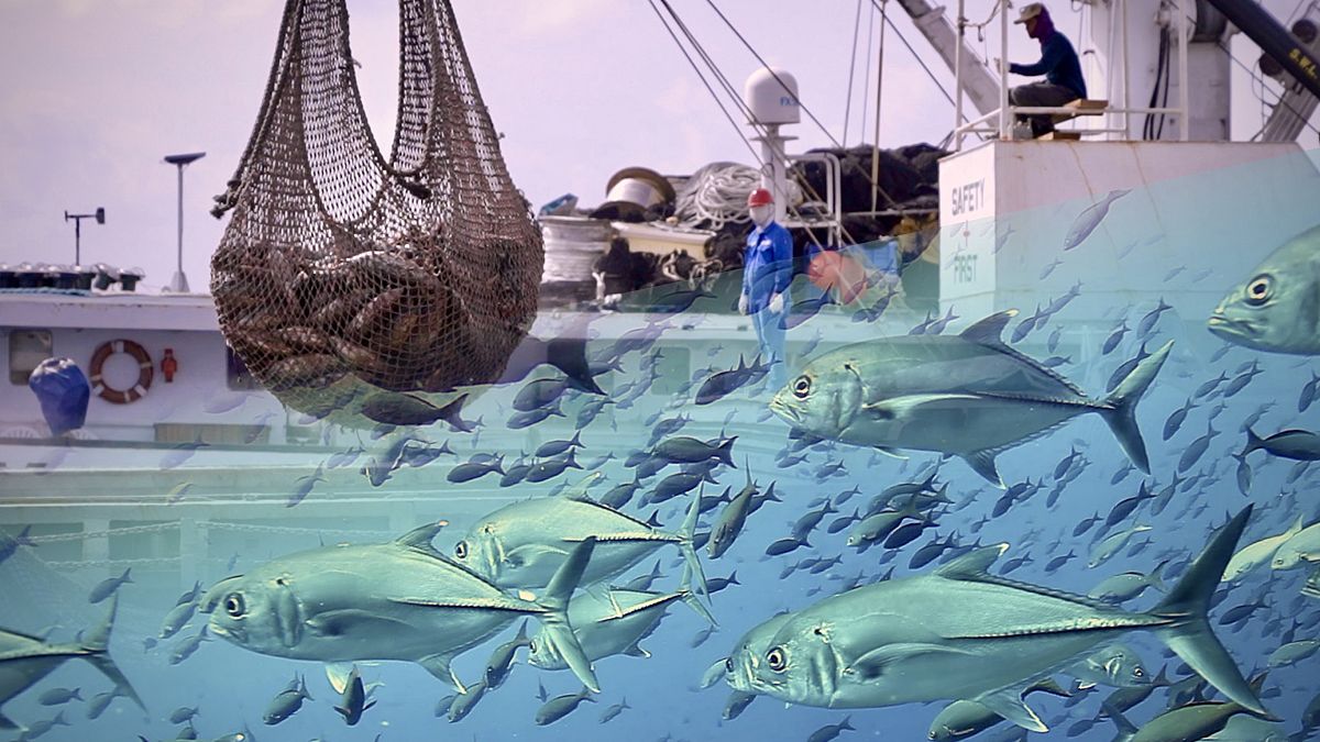 Viaje al Pacífico Centro-Occidental, donde se pesca más de la mitad del atún del mundo