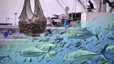 Alterações climáticas ameaçam populações de atum do Pacífico