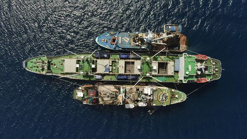 Tuna transshipment in the Majuro Atoll, Marshall Islands