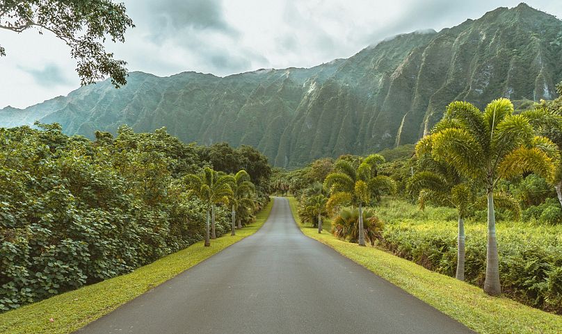 The islands are packed with natural wonders like the Ho'omaluhia Botanical Garden in Kaneohe