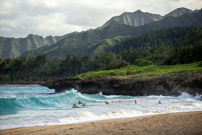 Tourists frolick in the waves on the Hawaiian island of Oahu