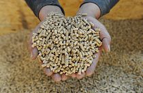 Wood pellets. Conservation groups say new EU rules on certifiying carbon removals could promote the burning of wood and other biomass.