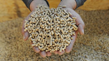 Wood pellets. Conservation groups say new EU rules on certifiying carbon removals could promote the burning of wood and other biomass.