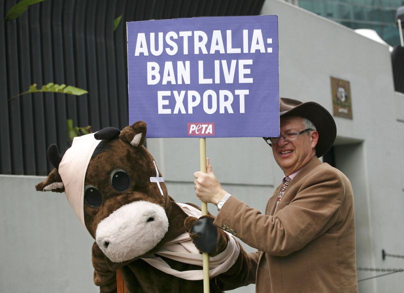 PETA and other activists - like those seen in this file photo - have been fighting against live exports in Australia for years