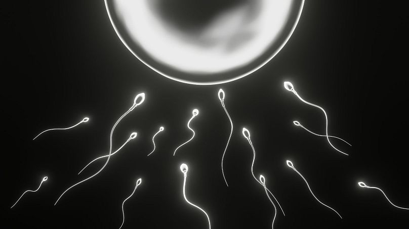 تنبلی اسپرم یک بیماری شایع در مردان نابارور به شمار می‌رود