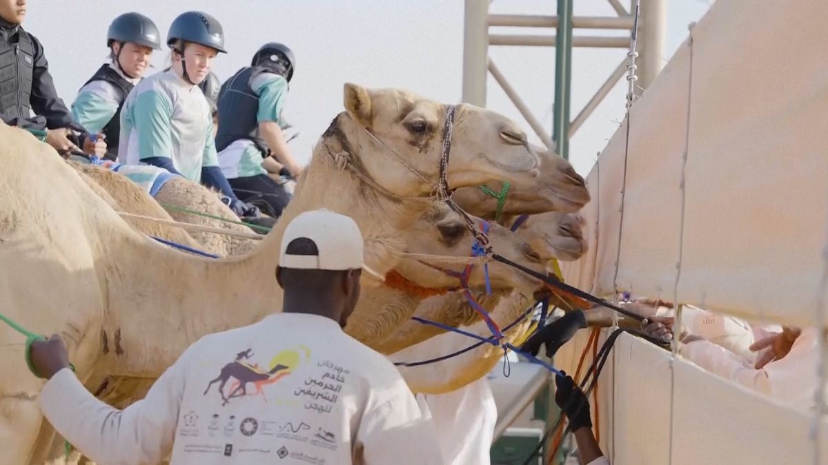 Watch: French rider gallops to victory in Riyadh's richest Ladies Camel Race thumbnail