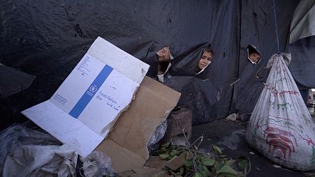 منظمات أممية ودولية تحذر من مجاعة في قطاع غزة